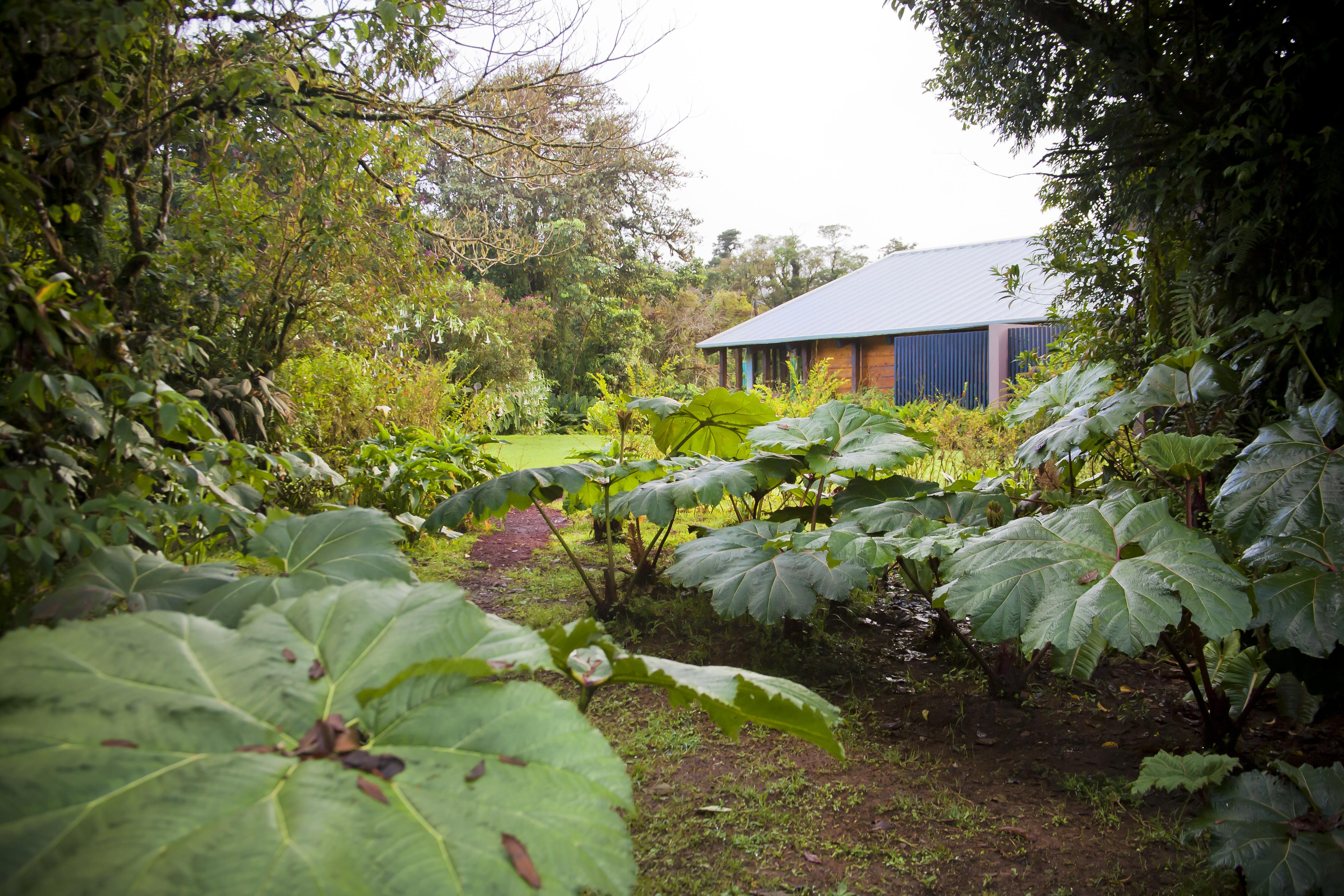 Poas Volcano Lodge Vara Blanca  Bagian luar foto